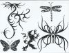 tribal dragonfly,butterfly and dragon tattoo
